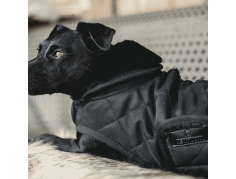 Chaqueta Perros Unisex KENTUCKY DOGWEAR (34/38 cm - Piel Sintética - Negro)