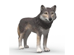 Figura Lobo Americano