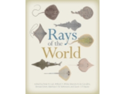 Libro Rays of the World (Inglés)