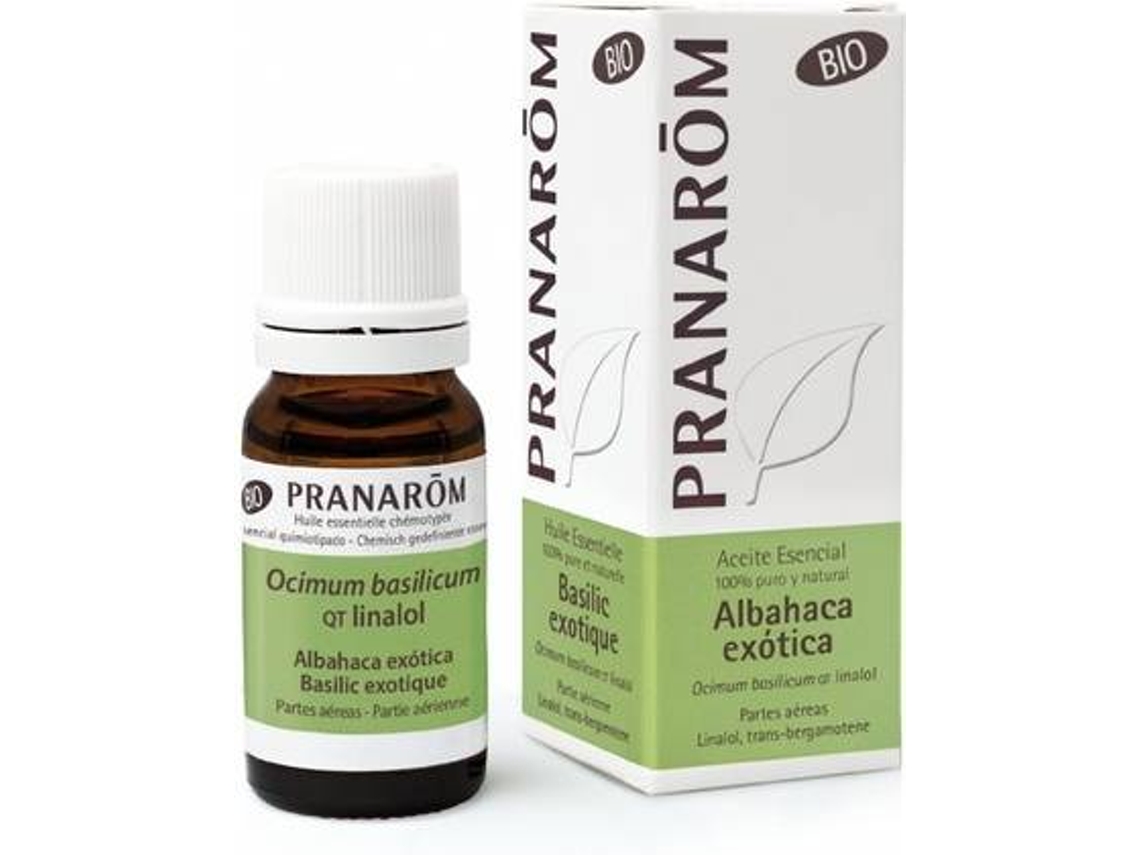 Aceite Essencial PRANAROM Essencial De Manjericão Exótico (10 ml)