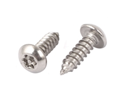 Mm Tornillos Autorroscantes Cabeza Torx Redonda 4,8 X 16 Rosca N.° 10, 2