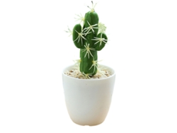 Pequeña planta tropical artificial simulación cactus bonsái simulación planta en maceta TRUYUETY
