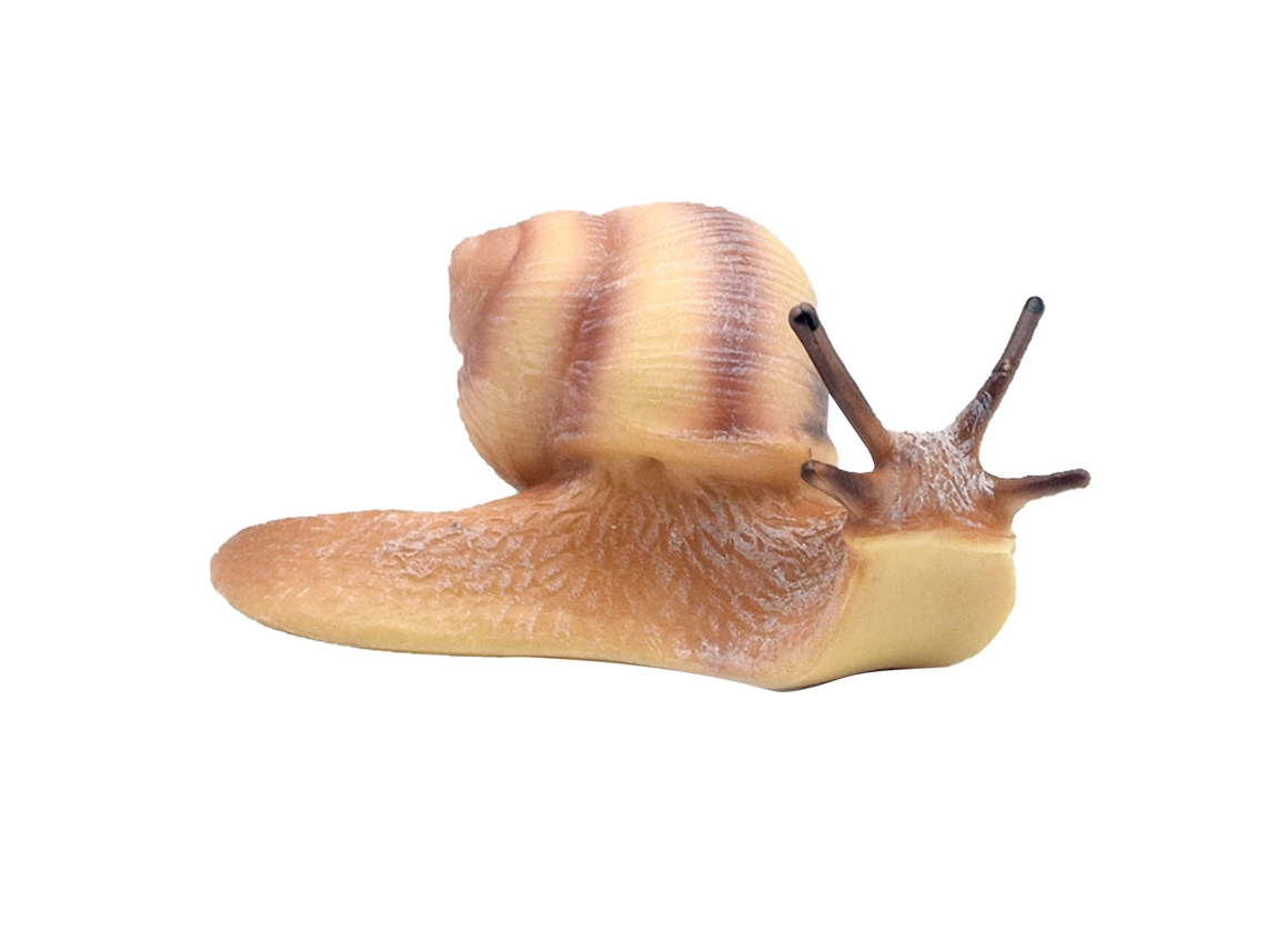 Caracol Artificial Realista Juguete Educativo De Paisaje Micro Para Niños Bebés