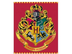 Sábana HARRY POTTER 67105 (Poliéster - 150x100 cm)