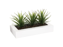 Centro de mesa decorativo con 3 plantas Aloe Vera WELLHOME
