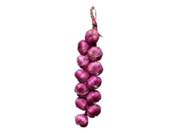 VVJIJILLY Decoração Simulada De Legumes Pendurados Alho, Milho, Amendoim, Batata, Abóbora, Pimentão Nongjiale Fotografia