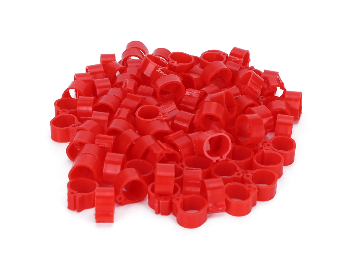 200 Anillas Para Palomas Rojas De 10 Mm Sin Marcar.