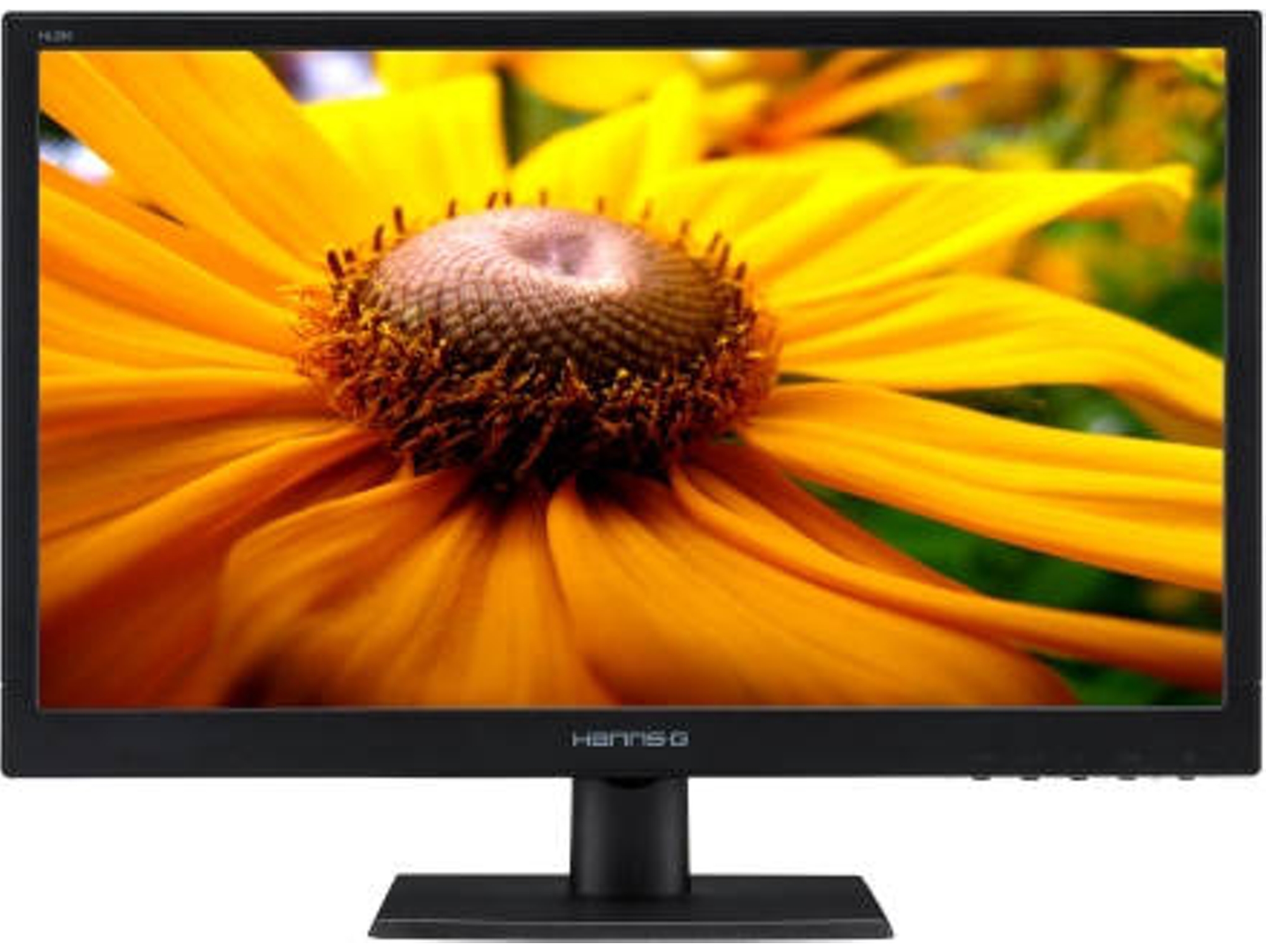Monitor HANNSPREE HP205DJB (19.5'' - HD+ - LED)
