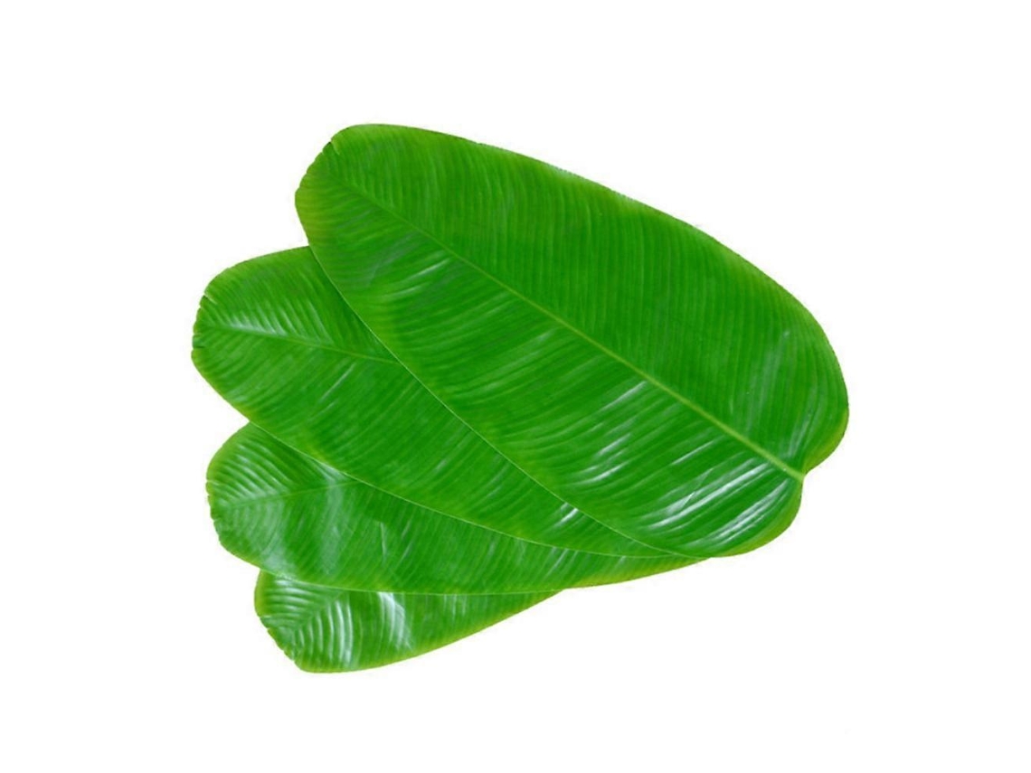 Mantel De Comida De Hoja De Plátano Con 10 Piezas, Escala, Decoración De Plantas, Mantel De Comida Para Vaso, Tazón, Comida Webake