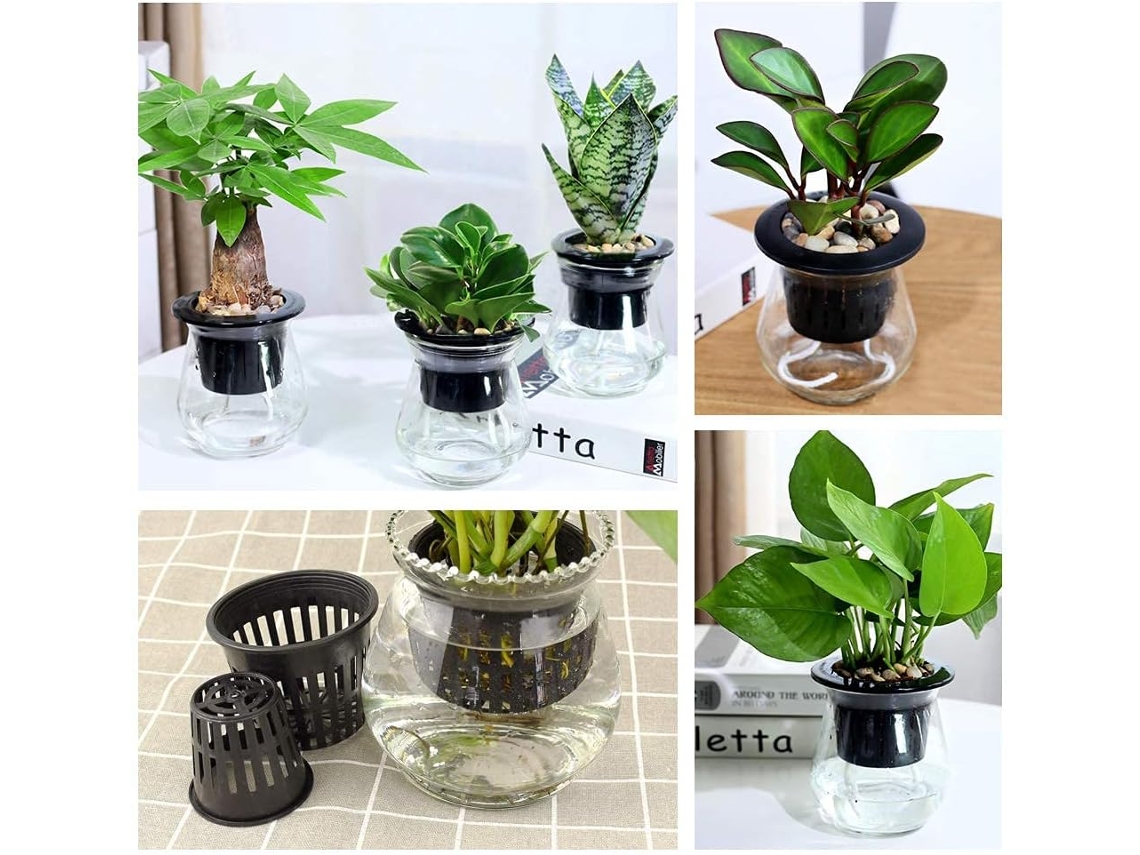 Suministros de cultivo hidropónico de plástico PP reutilizables, raíces sanas, drenaje uniforme para plantas de interior, jardín acuapónico adecuado (10