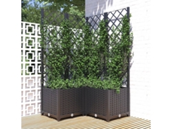Maceta/Jardinera de Jardín con Enrejado 80X80X136 Cm PP Negro