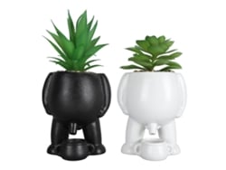 2 macetas con suculentas artificiales de cerámica, divertidas y decorativas, con pequeñas regaderas para dormitorio y oficina.