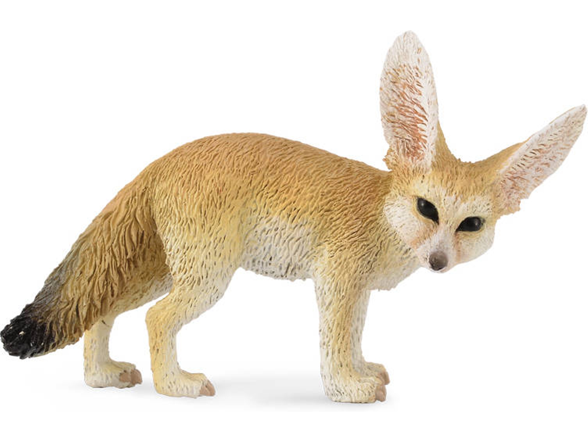 Figura COLLECTA Fennec