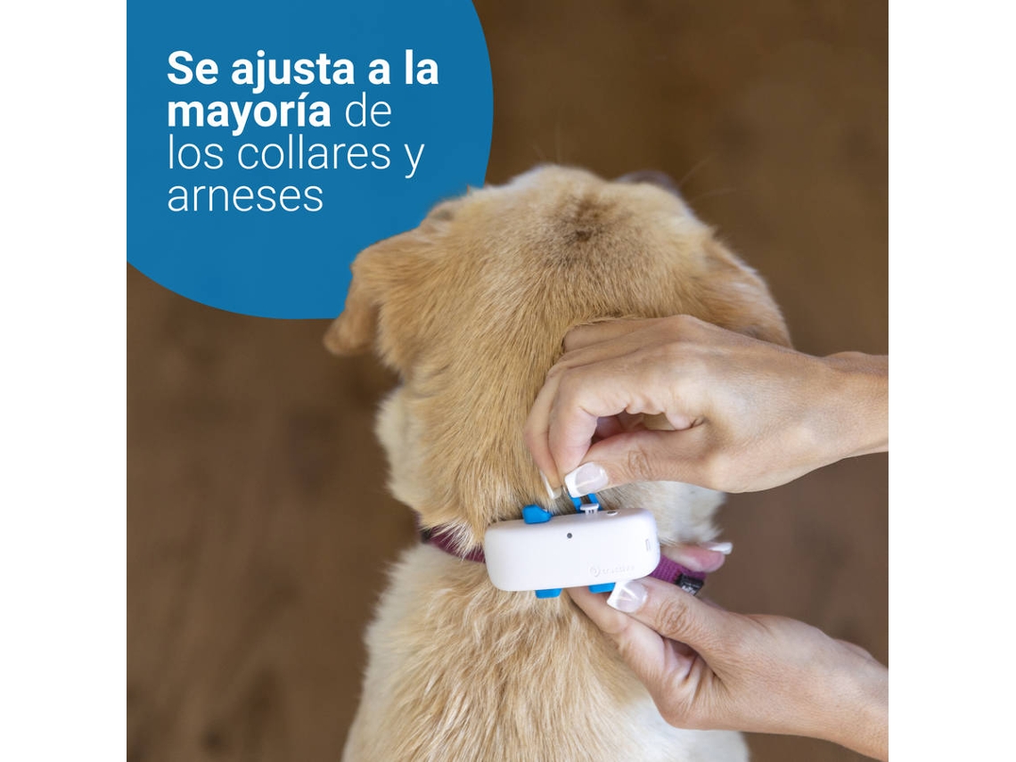 Collar GPS Tractive para perros por 29 euros