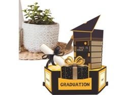 Tarjetas de felicitación en 3D para la graduación de 2026, dirigidas a graduados, estudiantes universitarios, hermanos y compañeros de clase.