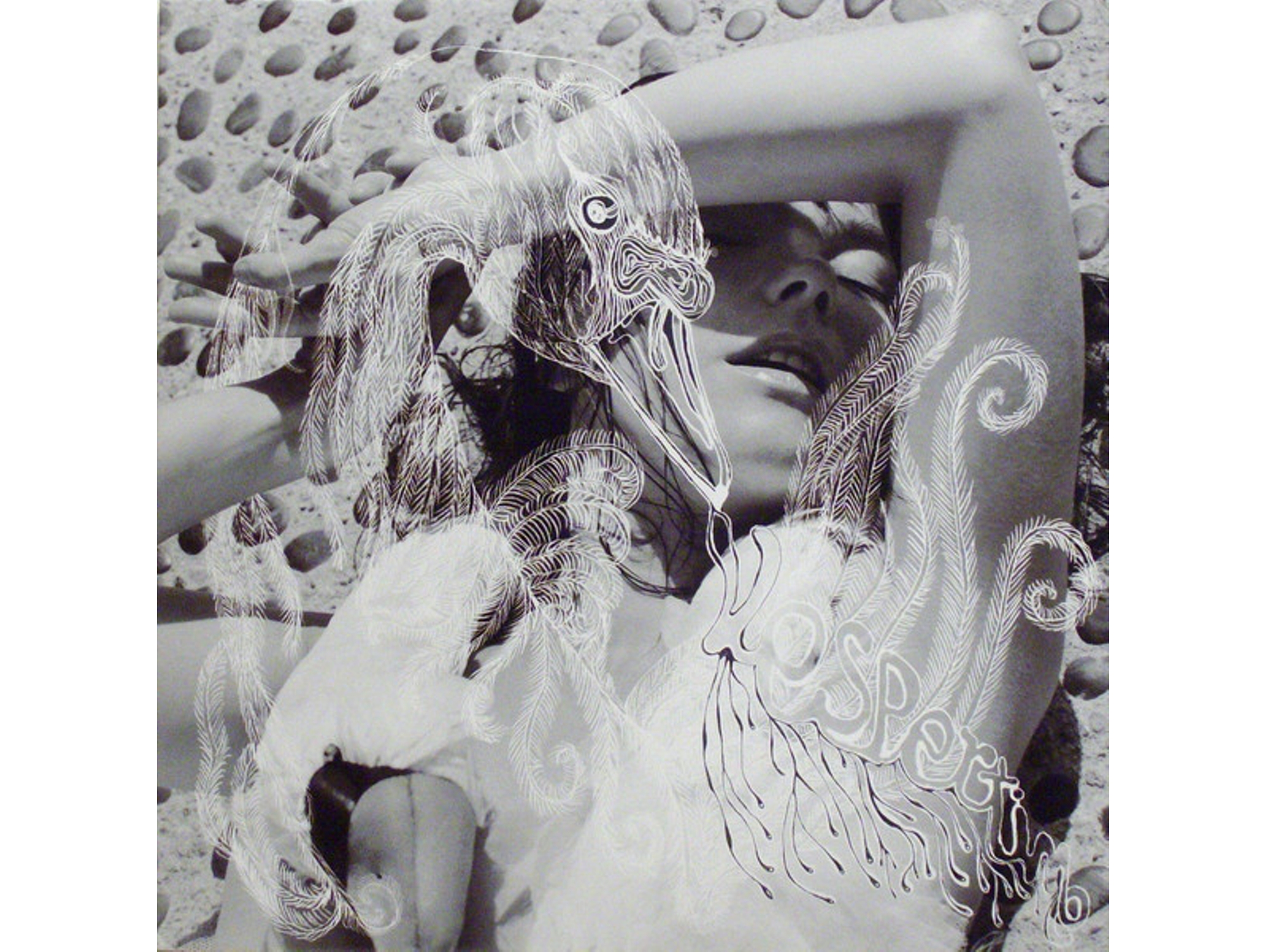 Vinilo Björk - Vespertine