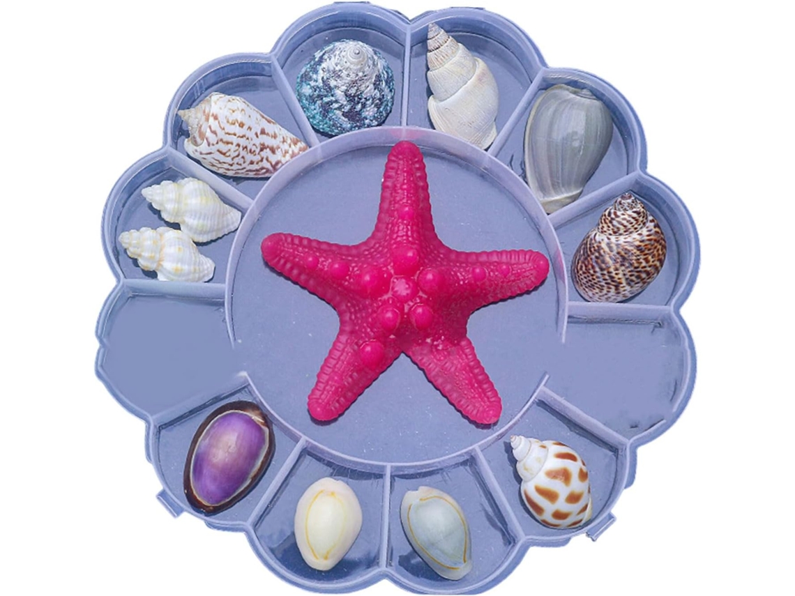 Juego De Cajas De Almacenamiento Transparentes Para Decoración Del Hogar Y Artículos Para El Hogar, Conchas Marinas,