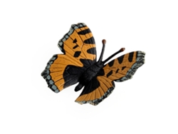 Figura De Insectos Y Animales De Plástico Simulación Para Niños Juguete Educativo Modelo (3)