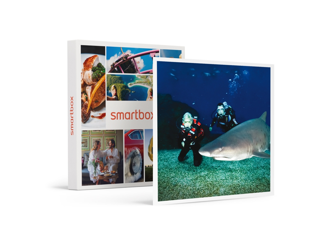 Caja Regalo Smartbox ¡adrenalina En El Mar! 1 Experiencia De Buceo Con Tiburones De 2h En Palma Aquarium