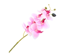 VYLARA Orquídea borboleta artificial Phalaenopsis, 6 cores, para decoração de casa, casamento e festa.