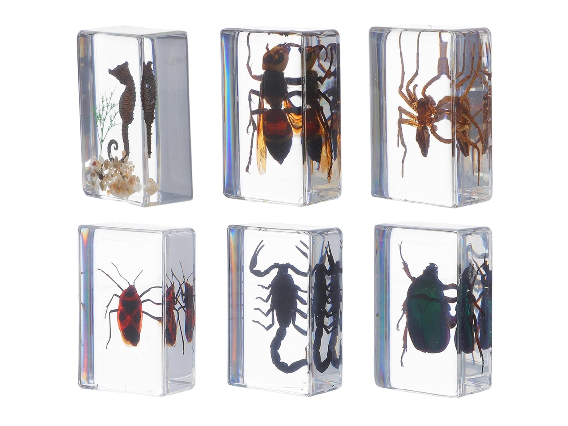Juego De 6 Ejemplares De Insectos De Resina Maciza, Pisapapeles Educativos Para Oficina Y Colección.