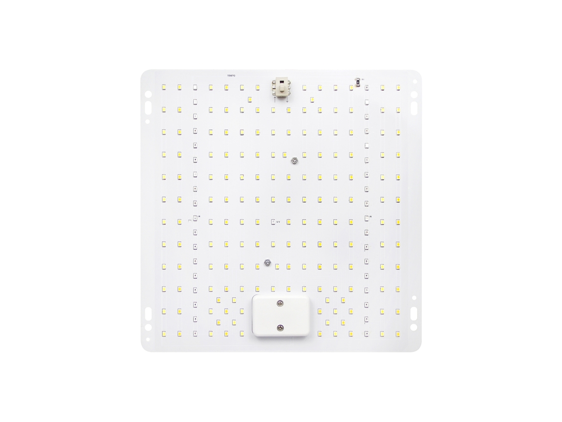 2026-luz De Crecimiento De Plantas Led De Espectro Completo Para Plantas Verdes, Suculentas E Interior