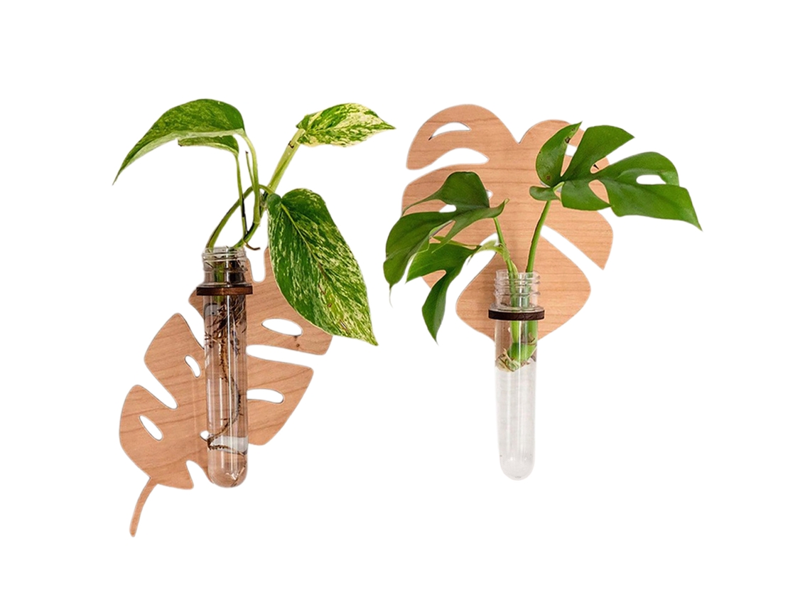 Tubo de plástico MS8665 y MS8666 (2 piezas)