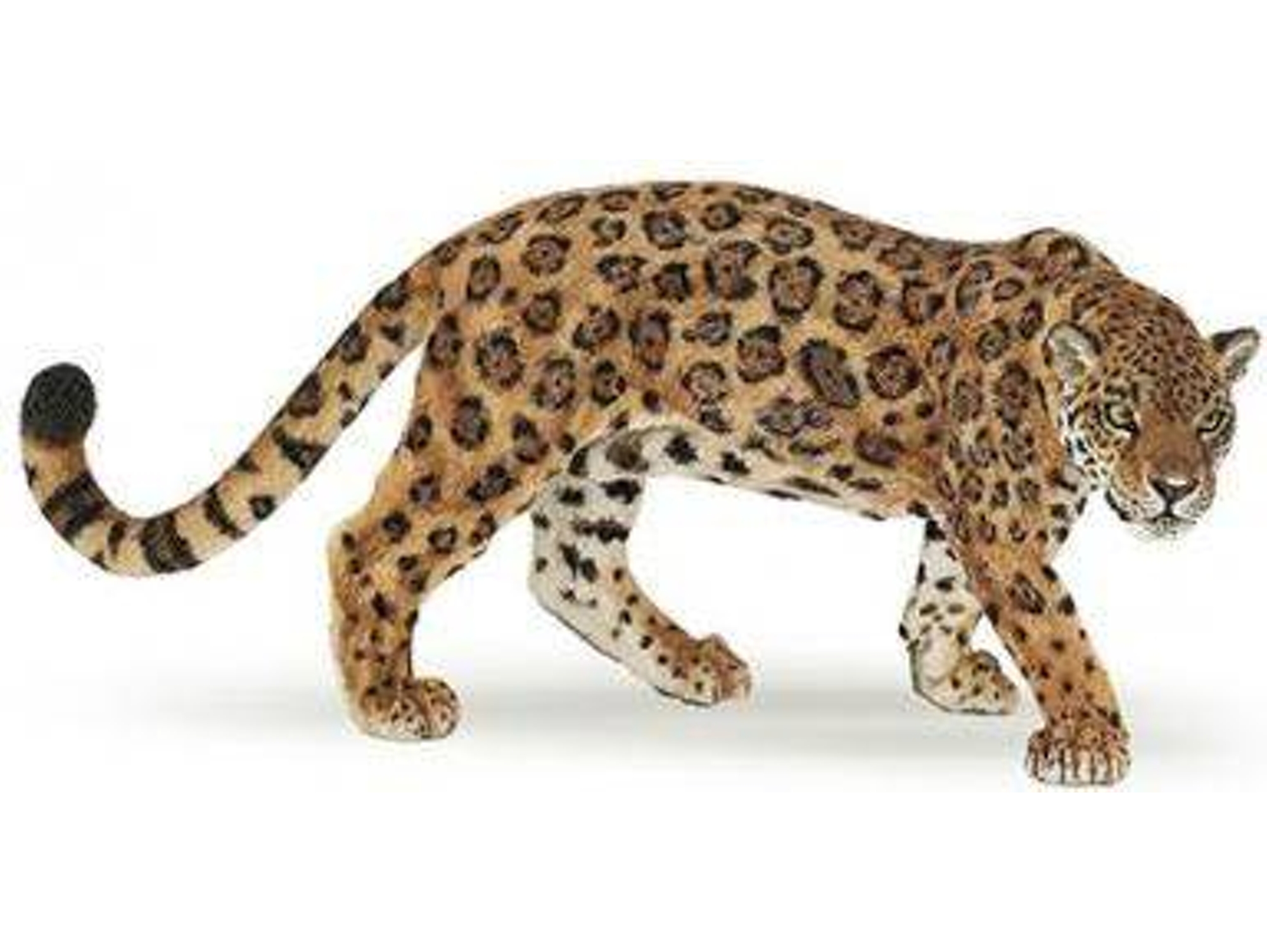 Figura PAPO Jaguar