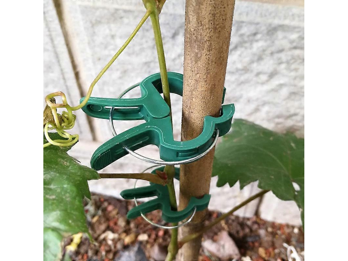 50 Clip De Plantas Verdes Tamaño M - Ayuda Para Plantas Trepadoras En Postes Espirales O Bambú - Herramienta De Jardinería Y Huerto