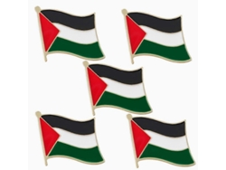 10pcs Broche Emblema Nacional Palestina Bandera Mapa Insignia Pin Chapas De Aleación 2.3x2.2cm 5 Unidades