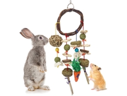 2026-46671-accesorios De Cuidado Dental Y Entretenimiento Para Mascotas Pequeñas Conejos Chinchillas Cobayas