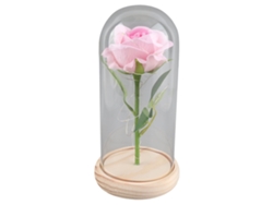 Rosa Preservada Con Luz Led Y Cubierta De Cristal, Base De Madera, Regalo De San Valentín, Rosa De Boda, Color Champán.