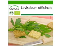 SAFLAX Ecológico Apio de monte o levístico 100 semillas Con sustrato de cultivo libre de gérmenes Levisticum officinale