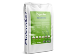 Semilla de Césped para Deporte y Recreo (15 kg para 750 m²) - ORGANIFER