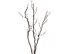 Planta Artificial EUROPALMS Corkscrew Branch (Blanco - 120 cm)