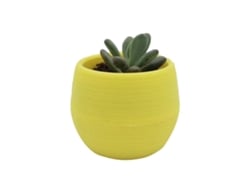 Maceta De Plástico Para Mini Plántulas De Suculentas Con Orificios De Drenaje, Para Jardín O Balcón, Color Amarillo.