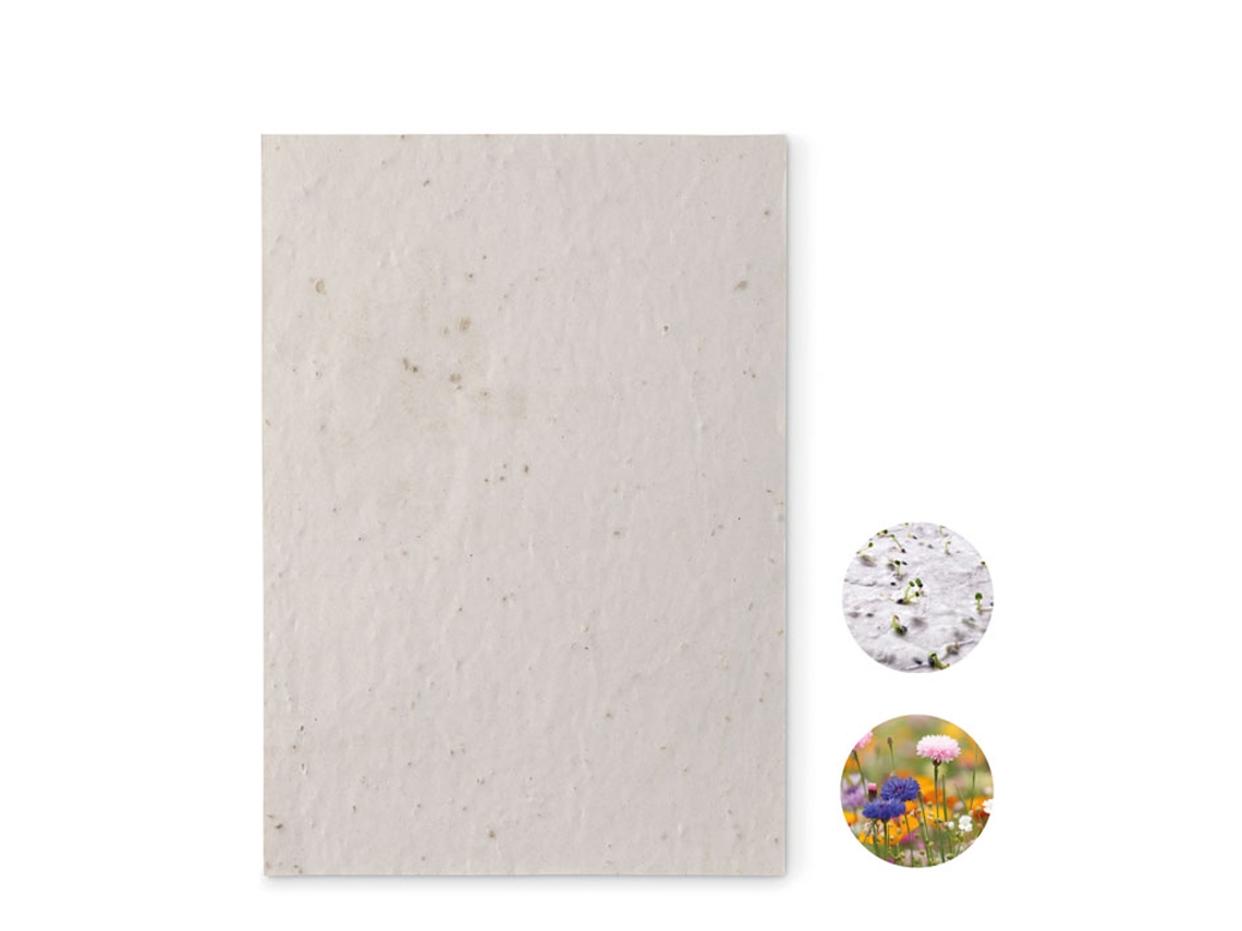 Hoja A5 De Papel Con Semillas