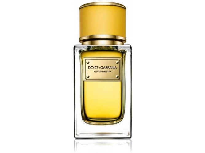 Perfume DOLCE & GABBANA Dolce Gabbana Velvet Ginestra Edp (50 ml)