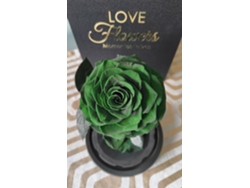 1 Rosa Natural Preservada La Bella y La Bestia Rosa Verde Esmeralda LOVE Flowers en Cúpula de Cristal - Colección Beauty Beast Rose