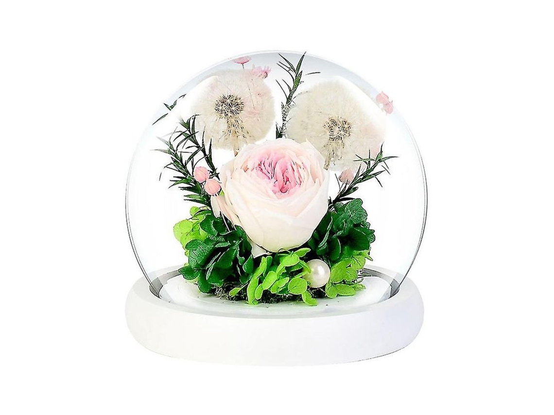 Rosas Eternas Naturales Con Luces Led Para El Día De San Valentín Y Aniversario. Un Regalo Elegante.