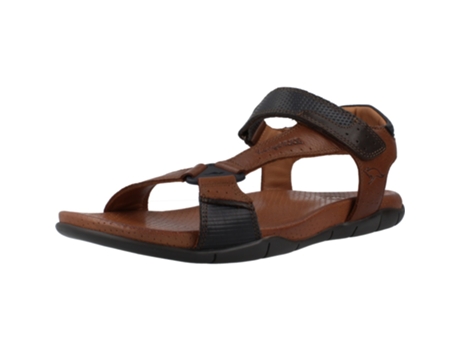 Zapatos de Hombre KANGAROOS Piel Marrón (43)