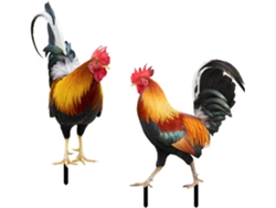 Gallos Realistas Kichouse De Estilo Moderno Y Rústico, Hechos De Acrílico, Estacas Para Jardín, 2 Piezas, Para Diseño