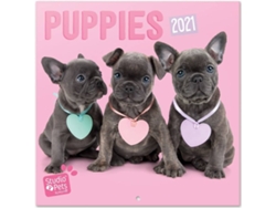 Calendario OFIURIA Studio Pets Puppies (2021 - 30 x 30 cm)