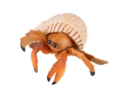 Ats-1 Pieza Modelo Simulacro De Cangrejo Ermitaño Juguete Animal Realista Regalo Propeducativo Para Niños