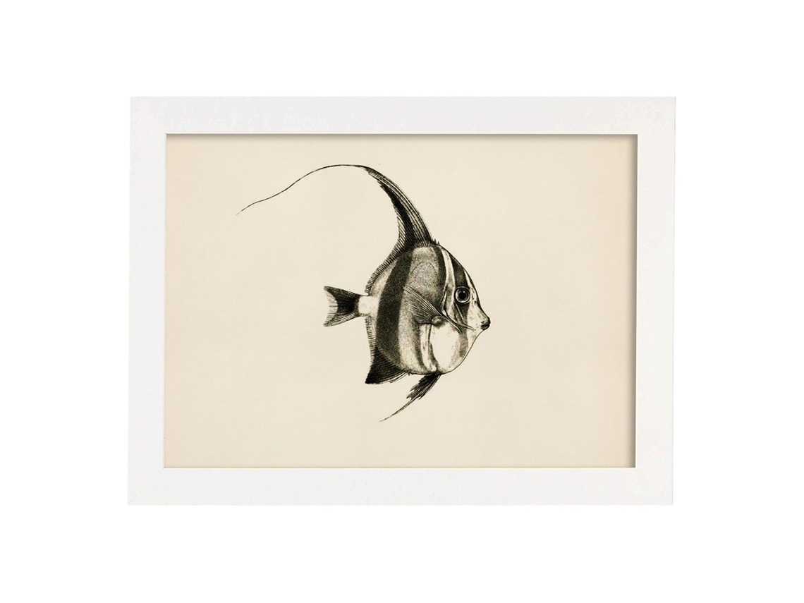 Póster NACNIC de Pez Lineas Negro Blanco y Gris en , Fondo Papel Vintage.