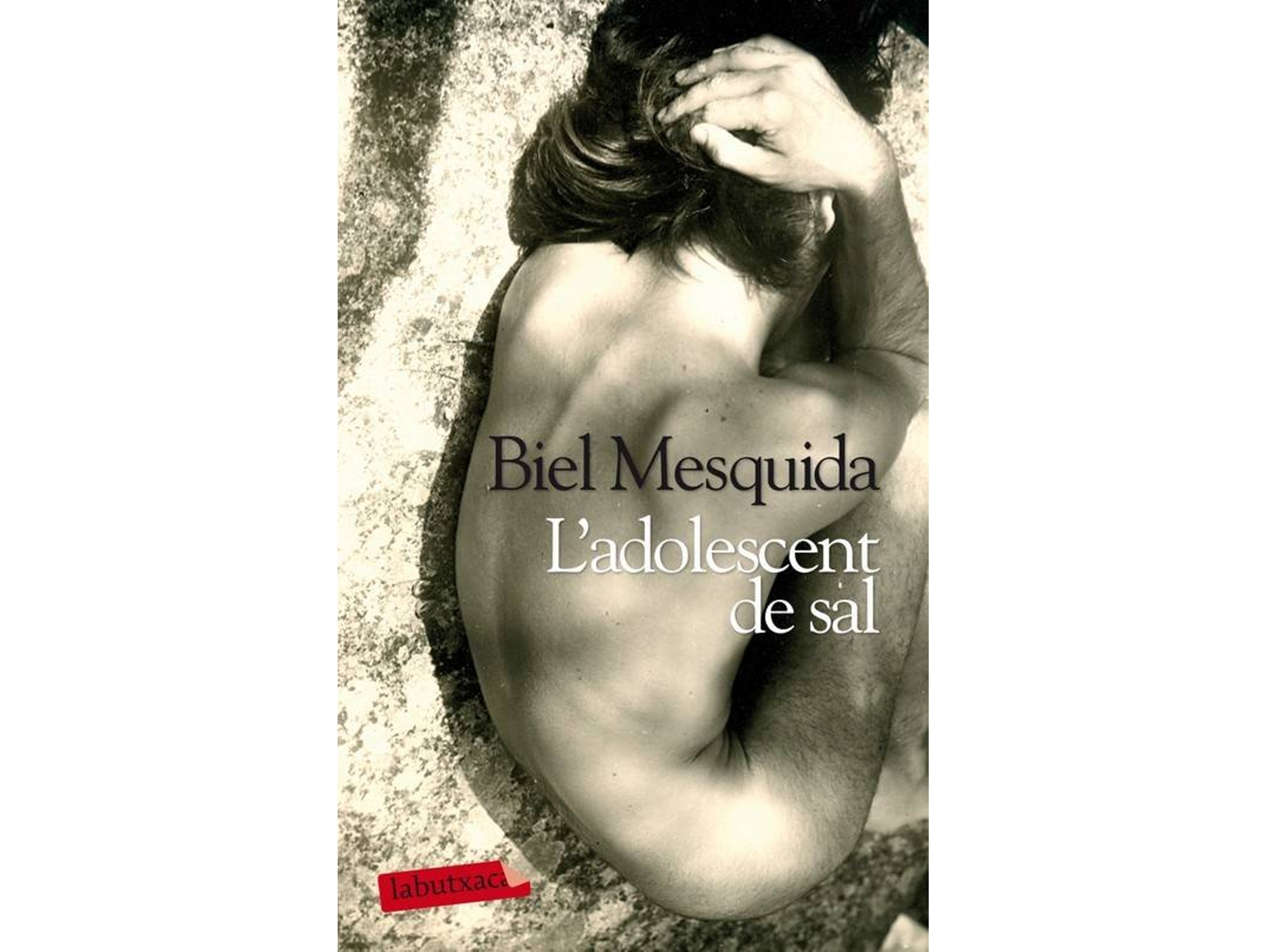 Libro L de Biel Mesquida Amengual (Catalán)