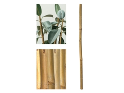 Estacas De Bambú Ecológicas Para Jardín Estacas Naturales: 60-210Cm Paquete De 12-36 Unidades Paquete De 36 Unidades 120Cm Alto 10-12 Mm JARDIN202