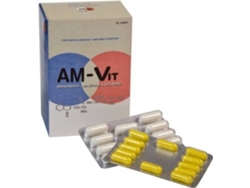 Complemento Alimentar PRAXIS Am-Vit (100 + 24 comprimidos)