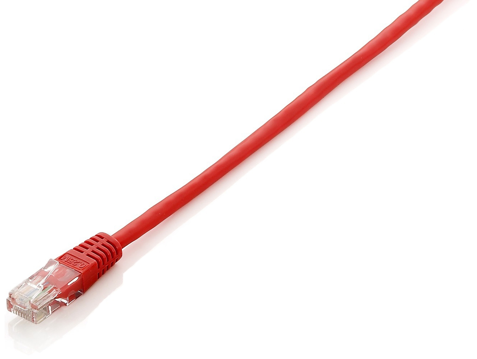 Cable de Red EQUIP (RJ45)