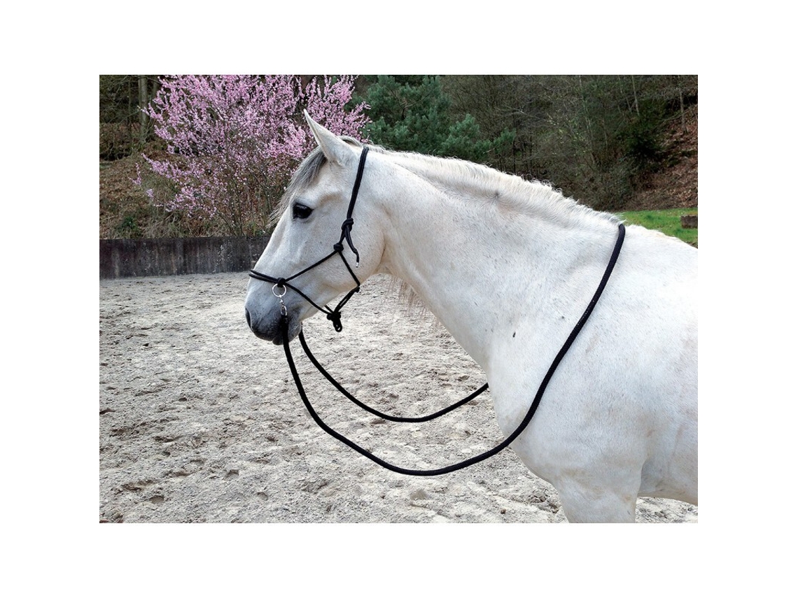 Cabezada etológica para caballos con riendas Norton